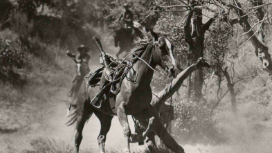 Imagen de El desertor de El Álamo - 3