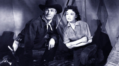 Imagen de Colt .45 - 3