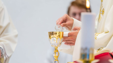 Imagen de Santa Misa de La Solemnidad de la Virgen del Sagrario. La Asunción - 3