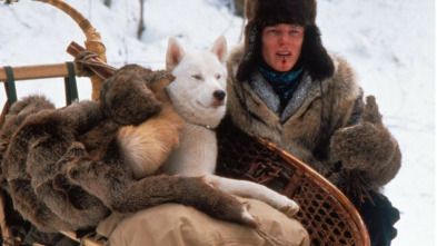 Imagen de Voluntad de hierro - 3