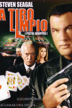 Imagen de A tiro limpio - 2