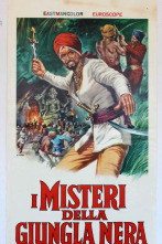 Imagen de El misterio de la jungla negra - 2