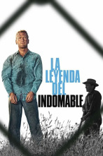 Imagen de La leyenda del indomable - 2