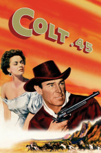 Imagen de Colt .45 - 2