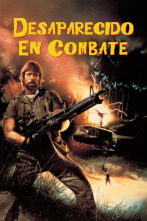 Imagen de Desaparecido en combate - 2