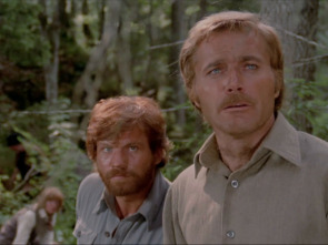 Imagen de Colmillo blanco - 1