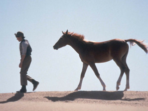Imagen de Corriendo libre - 1
