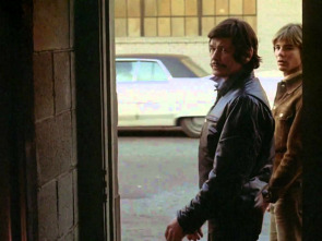 Imagen de Fríamente... sin motivos personales - 1