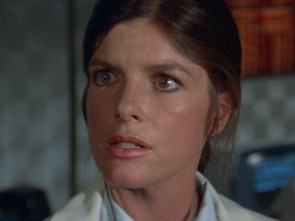 Imagen de El enjambre - 1