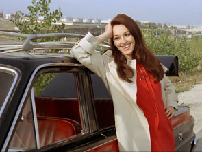 Imagen de Amor a todo gas - 1