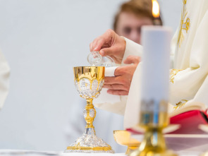 Imagen de Santa Misa de La Solemnidad de la Virgen del Sagrario. La Asunción - 1