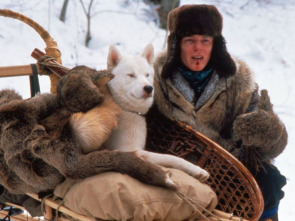 Imagen de Voluntad de hierro - 1