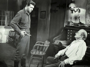 Imagen de Noche salvaje - 1