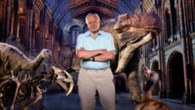 El museo de Historia Natural cobra vida con David