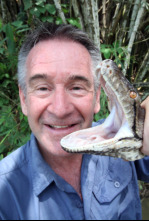 Las serpientes más...: Australia