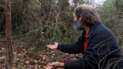 Imagen de El señor de los bosques (T1) - 5