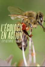 L'écologie en action