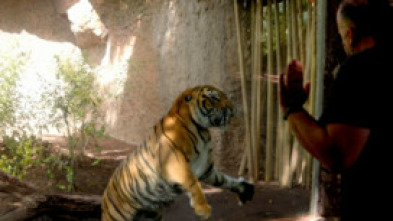 Imagen de Crónicas del zoo (T1): Ep.5  - 5
