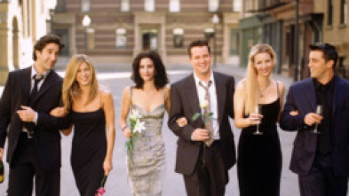 Friends - El de la boda de Mónica y Chandler (II)