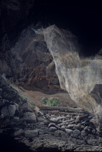 Cuevas del mundo: aventura subterránea - Gibraltar