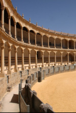 Imagen de Novillada - 4