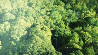 Imagen de Paisaje natural - 5