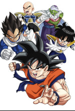 Dragon Ball Z (T4): Ep.74 La batalla ha terminado... Gracias, Son Goku