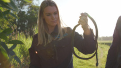 Australia: cazadores de serpientes - Demasiado juntos