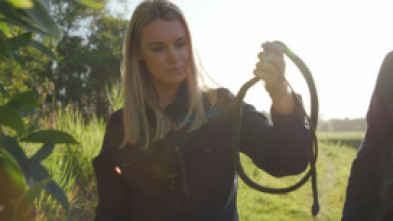 Australia: cazadores de serpientes - Una pitón espectacular