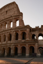 Coliseo - El constructor