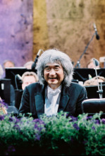 Imagen de Waldbühne de Berlín - Una Noche con Gershwin - 6