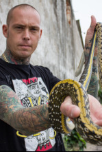 Serpientes en la ciudad: La cobra acuática