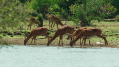 Lago Tanganica: el corazón de Africa