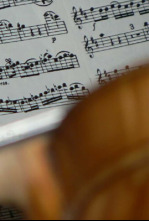 Imagen de Barenboim Beethoven Piano Concerto No.4 - 4