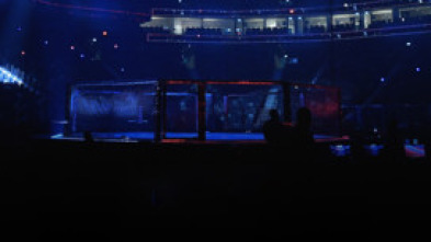 El club de la UFC (2025): 26/04/2025