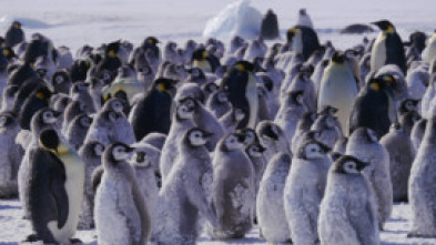 Imagen de Planeta hostil: Desiertos - 7