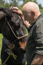 Imagen de El increíble doctor Pol  - 4