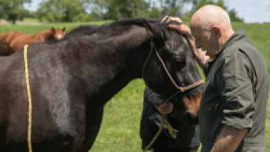 Imagen de El increíble doctor Pol  - 5