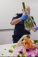 Imagen de Control de...: Métodos de narcotráfico variopintos - 5