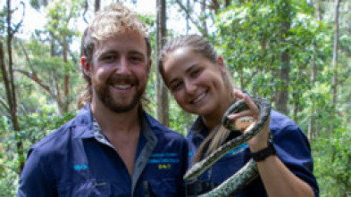Australia: cazadores de serpientes - Cuatro por el precio de uno