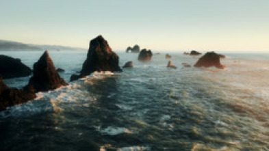 Imagen de Drenar los océanos  - 7