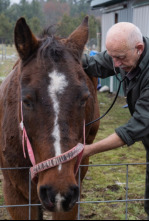 Imagen de El increíble doctor Pol  - 4
