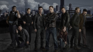 Imagen de Chicago P.D. (T2): Ep.13 Un error de Dios - 5