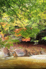 Imagen de Kyushu, el Japón oriental - 4