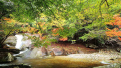 Imagen de Kyushu, el Japón oriental - 5