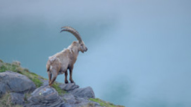 Imagen de El patrimonio natural de Austria  - 7