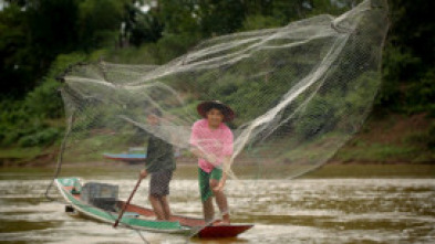 Imagen de Sabores: Sabores de Laos al ritmo del Mekong - 5