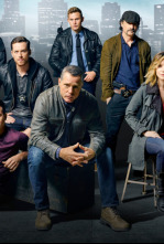 Chicago P.D. (T3): Ep.2 Cuentacuentos de nacimiento