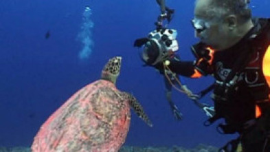 Imagen de Bubbles - 10