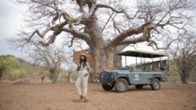 África de safari - Un lugar alejado del tiempo